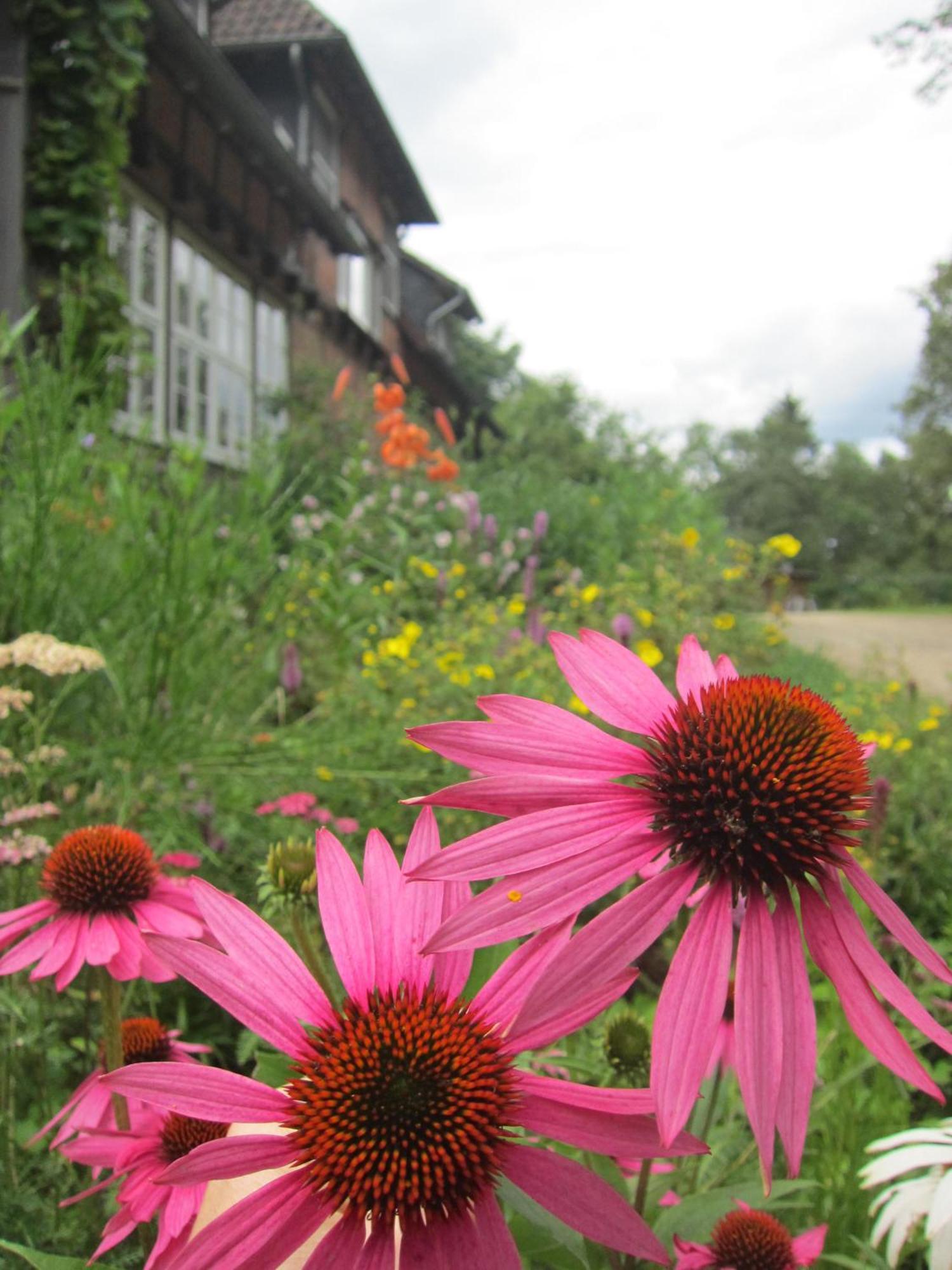 Haus Heidetal Bed and Breakfast Bispingen Buitenkant foto