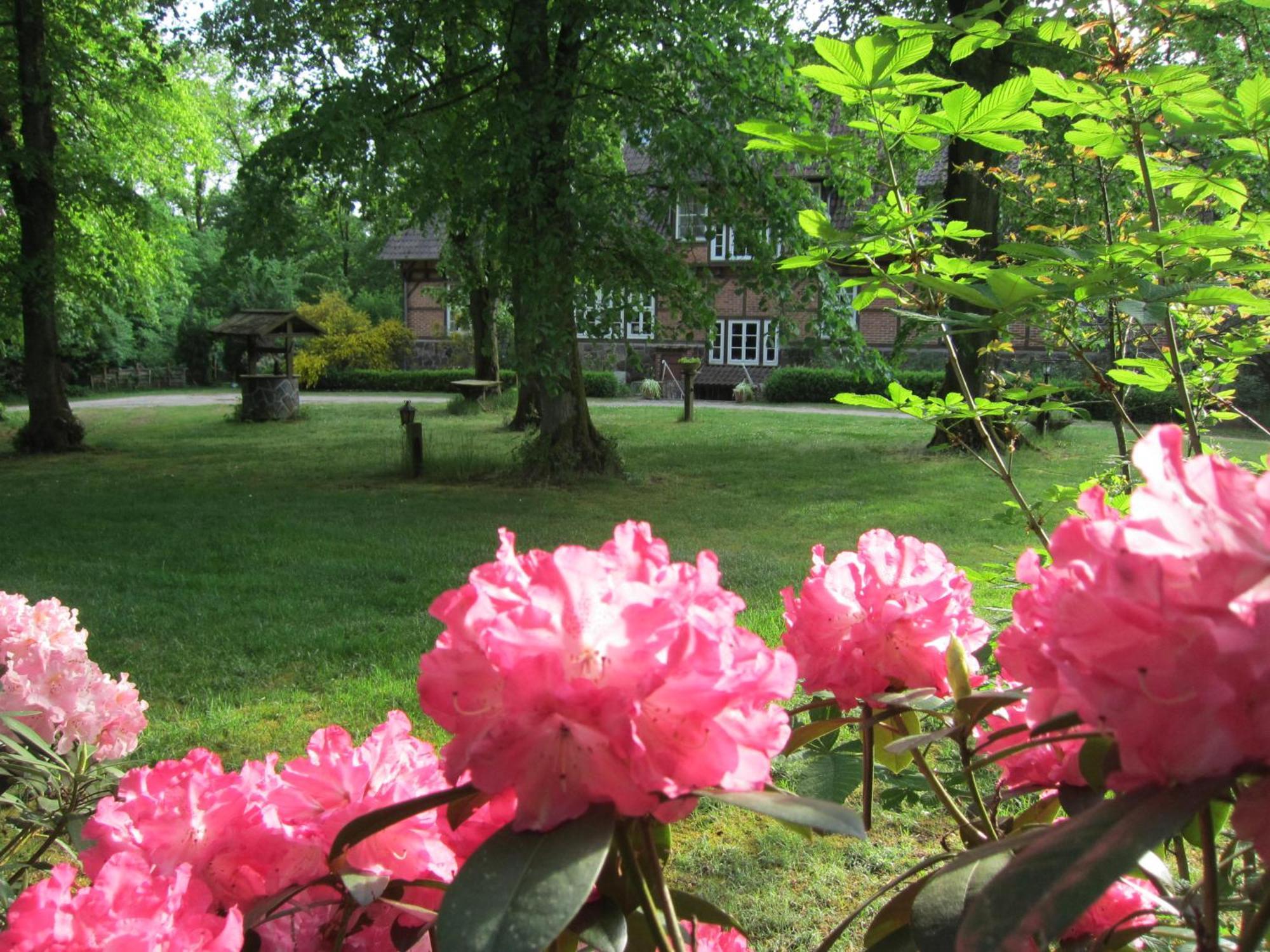 Haus Heidetal Bed and Breakfast Bispingen Buitenkant foto