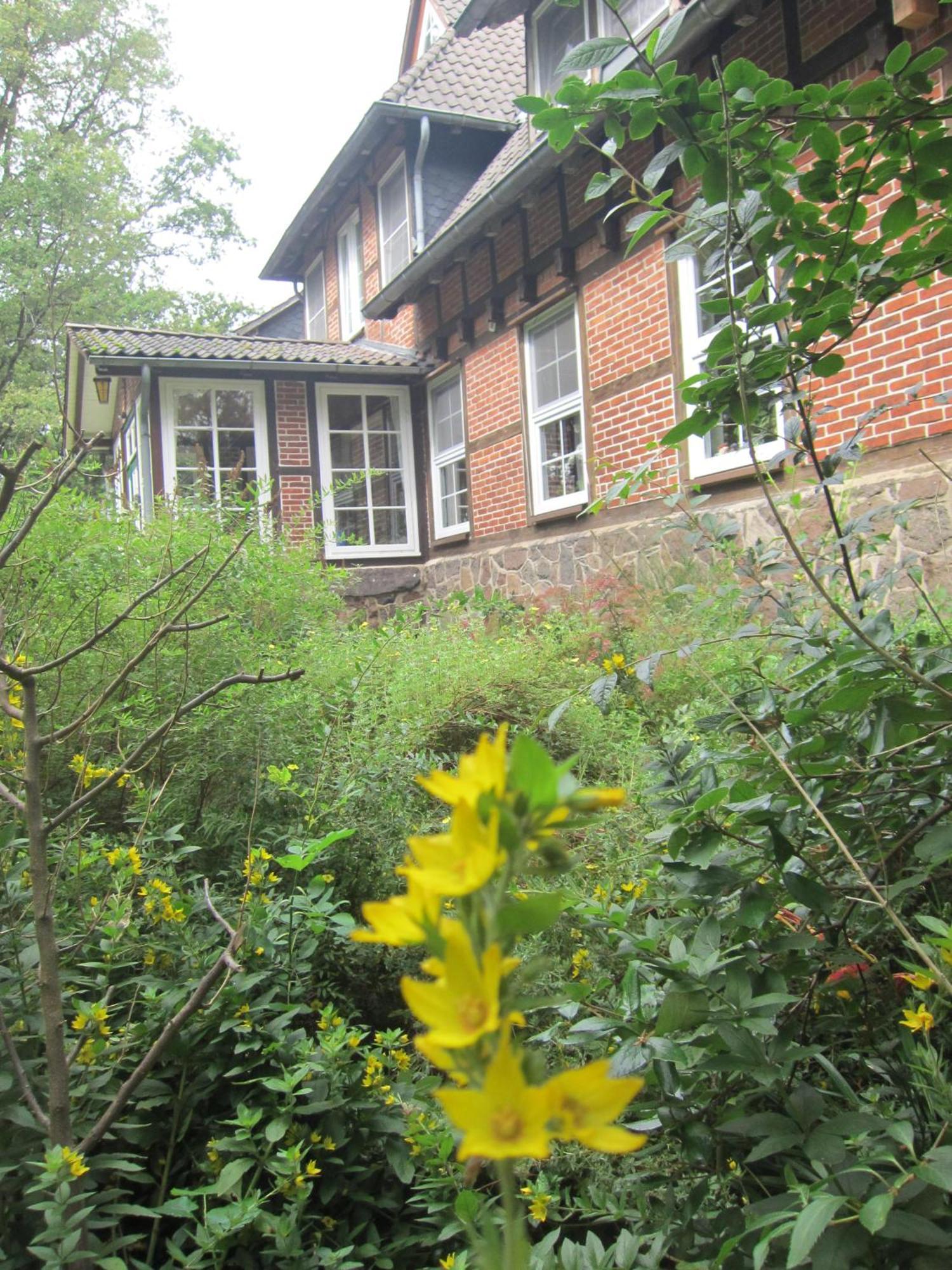 Haus Heidetal Bed and Breakfast Bispingen Buitenkant foto